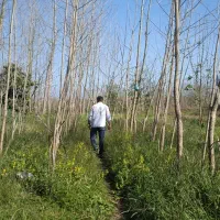 فروش زمین باغی