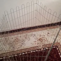پارک سگ‌و گربه