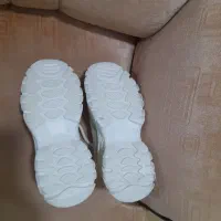 ی جفت کفش|کیف، کفش، کمربند|مراغه, |دیوار