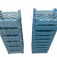 کارخانه سبدسازی|ظروف نگهدارنده، پلاستیکی، یک‌بارمصرف|محمدشهر, محمدشهر|دیوار