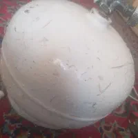 پیک نیک جهت فروش