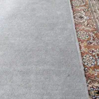 پالاز موکت و موکت نمد|موکت|ارومیه, |دیوار