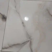 جواز آرایشگاه گم شده