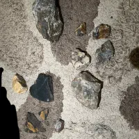 سنگ‌ کلکسیونی