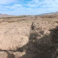 زمین کشاورزی پشت شهرک صنعتی|فروش دفتر صنعتی، کشاورزی، تجاری|زند, |دیوار