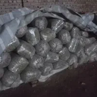 ذرت علوفه پردانه