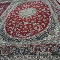 قالی|فرش|اردکان, |دیوار