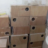 لانه عروس هلندی سفارشی دسته دوم