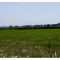 فروش زمین 2456متری مناسب جهت سرمایه گذاری