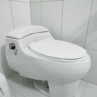 سنگ توالت فرنگی