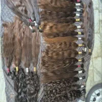 خریدار اصلی موی طبیعی