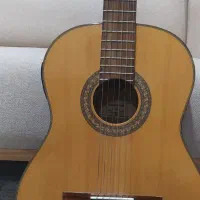 گیتار فونیکس