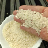 برنج طارم هاشمی