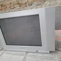 تلوزیون