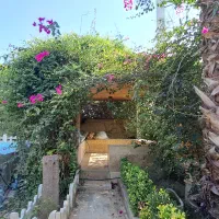 رهن و اجاره ویلا 520 متر|اجارهٔ خانه و ویلا|امامزاده عبدالله, |دیوار