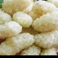 توت سفید درجه ۱