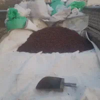 کشمش بیدانه افتابی پلوی|خوردنی و آشامیدنی|رودسر, |دیوار