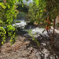 باغ ویلا شهری همایون ویلا محمدشهر|فروش خانه و ویلا|تهران, جنت‌آباد شمالی|دیوار