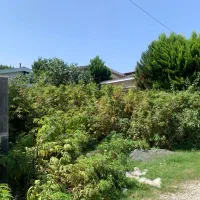 ۲۵۰ متل قو دریاگوشه شهرک دانیال (نیروی انتظامی)|فروش زمین و ملک کلنگی|سلمان‌شهر, |دیوار