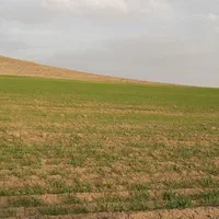 فروش زمین با متراژ بزرگ برای ساخت سوله و نمایشگاه|فروش دفتر صنعتی، کشاورزی، تجاری|اردبیل, |دیوار