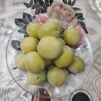 فروش الو خوانساری درجه ۱