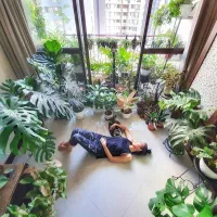 ویزیت تخصصی گیاه آپارتمانی در منزل|گل و گیاه طبیعی|کرمان, |دیوار