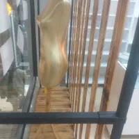 فروش رگال|فروشگاه و مغازه|رشت, شهرک قدس|دیوار