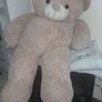 خرس بزرگ تمیز و سالم