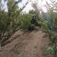 کهک زمین باغی ۱۵۰۰متر