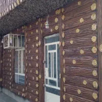 نما طرح چوب و سنگ سیمانی|خدمات پیشه و مهارت|برازجان, |دیوار