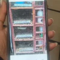 جفت خونه