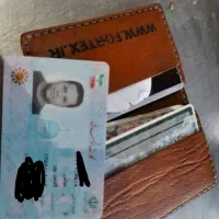 پیدا شده