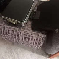 جاروبرقی گلداستار ۱۸۰۰وات وقالیچه۲متری،کیف سامسونت|فرش|اهواز, کیانپارس |دیوار