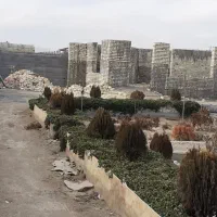 فروش-باغ-700-متری