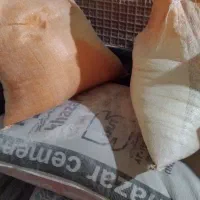 سیمان و گچ و سیمان سفید