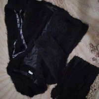 تدی خز