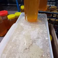 عسل کوه شاه جهان اسفراین خراسان شمالی