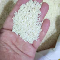 برنج هندی سوناماسوری