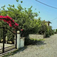 فروش زمین خطیب کلا ۲۰۰متربهترین شهرک سنددار