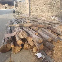 فروش چوب|عمده‌فروشی|سنندج, |دیوار