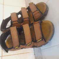 صندل ۴۲