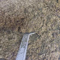 سبزی قورمه سرخ شده معطر
