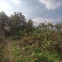 زمین ۲۳۰ متری با پروانه ساخت منطقه ویلایی