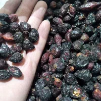 دمنوش‌گیاهی تخم گل نسترن