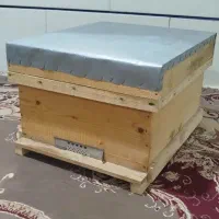 کندو زنبور عسل