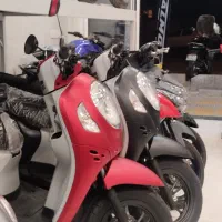 فروش و تعمیرات انواع موتورسیکلت|موتورسیکلت|تهران, نیلوفر|دیوار