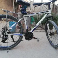 دوچرخه حرفه ای