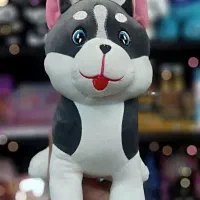 توله هاسکی نر