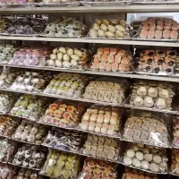 کارگاه شیرینی پزی آیلین|خوردنی و آشامیدنی|اهواز, حصیرآباد|دیوار