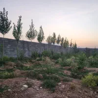 زمین-تاج-محل-خانه-خمیس